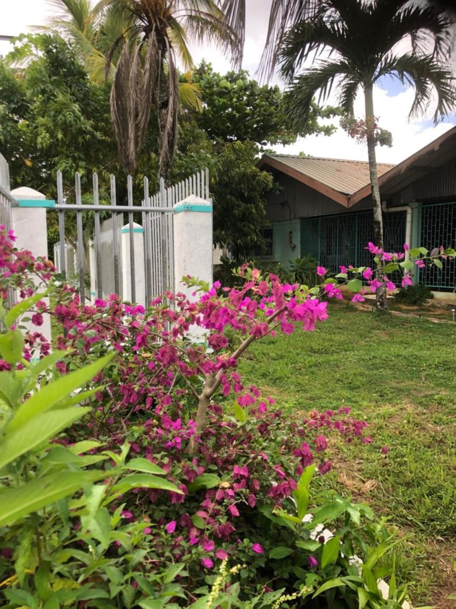 Unu Pikin Guesthouse Paramaribo Exterior foto